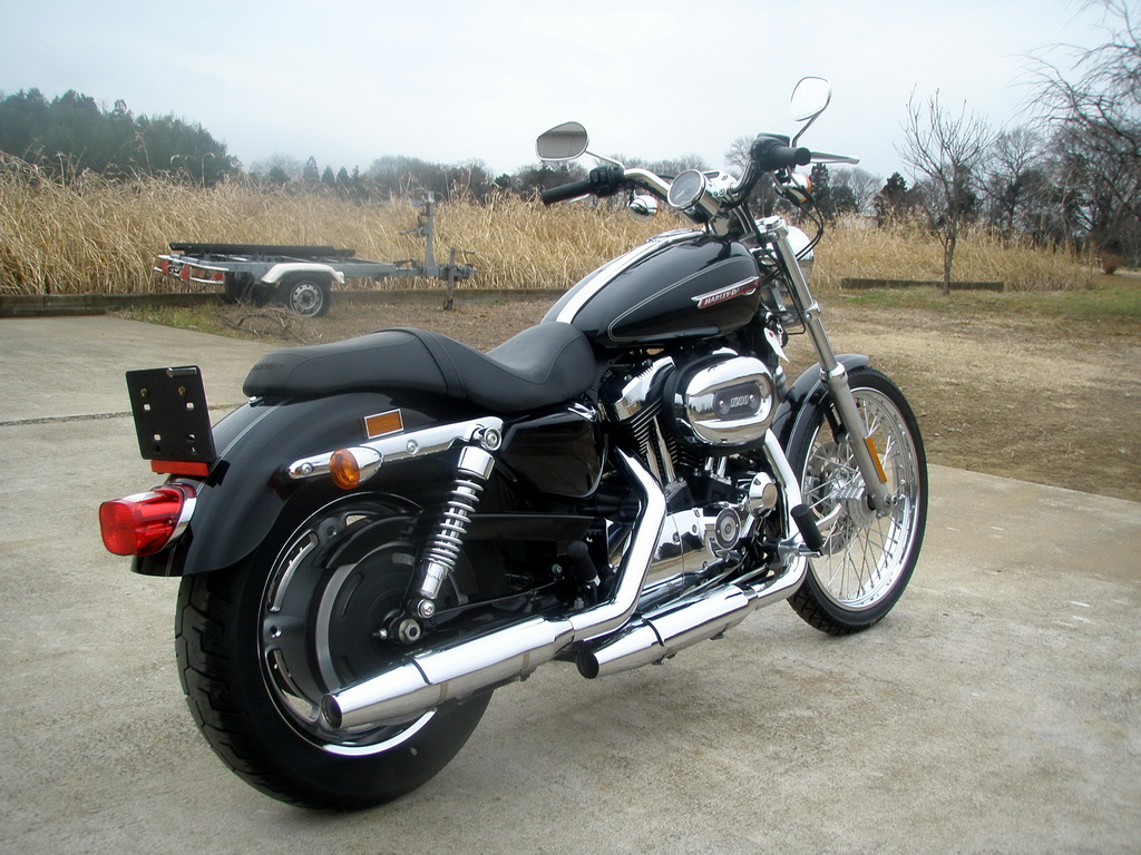 Sportster xl1200c deals